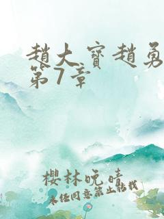 赵大宝赵勇苏媚第7章