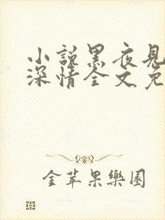 小说黑夜见过他深情全文免费阅读