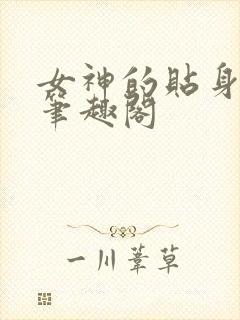 女神的贴身高手笔趣阁