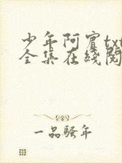 少年阿宾txt全集在线阅读