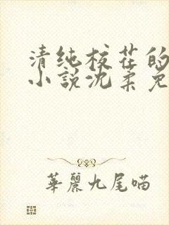 清纯校花的日常小说沈柔免费阅读
