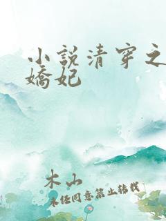小说清穿之太子娇妃