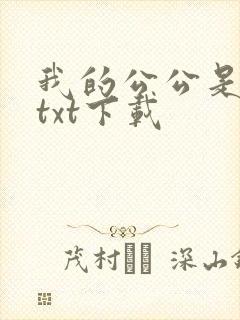 我的公公是医生txt下载