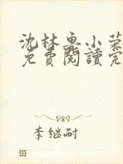 沈林鲁小荣小说免费阅读完整版