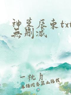 神墓辰东txt无删减