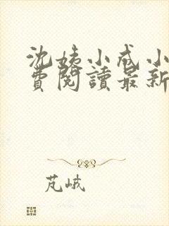 沈姨小成小说免费阅读最新章节更新