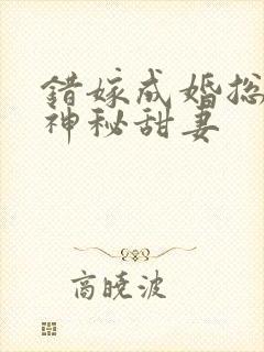 错嫁成婚总裁的神秘甜妻