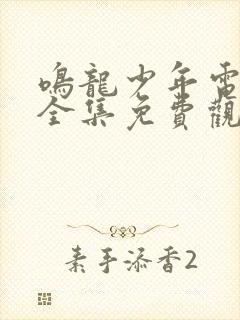 鸣龙少年电视剧全集免费观看高清