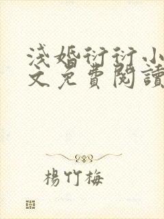 浅婚衍衍小说全文免费阅读