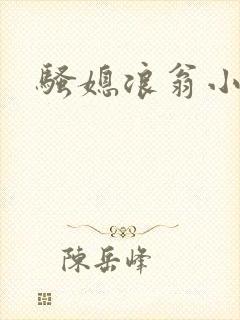 骚媳浪翁小说