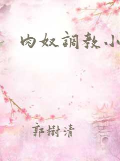 肉奴调教小说