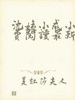 沈姨小成小说免费阅读最新章节更新