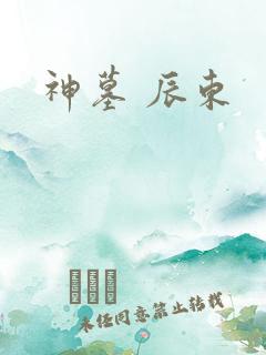 神墓 辰东