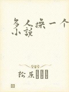 多人操一个逼的小说