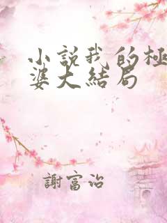 小说我的极品老婆大结局