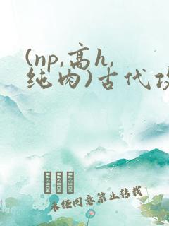 (np,高h,纯肉)古代攻受