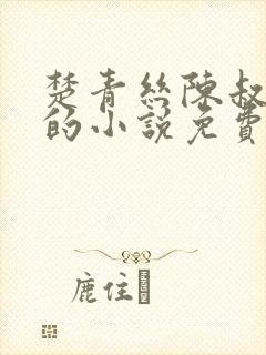 楚青丝陈叔薛冰的小说免费阅读