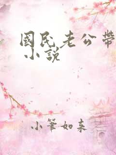 国民老公带回家 小说