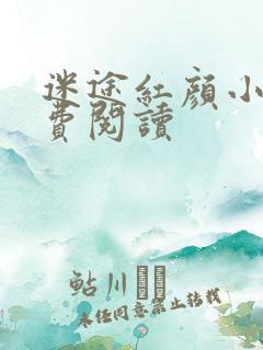 迷途红颜小说免费阅读