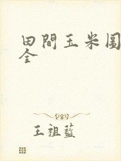 田间玉米图片大全