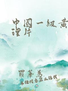 中国一级黄色伦理片