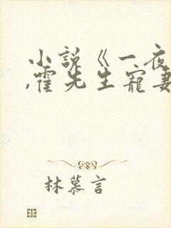 小说《一夜情深,霍先生宠妻无度》