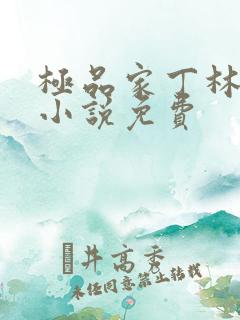 极品家丁林晚荣小说免费