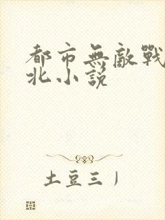都市无敌战神林北小说