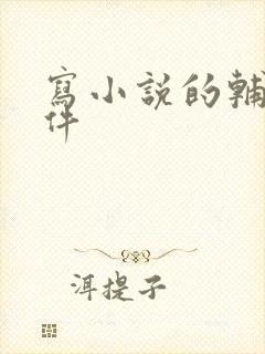 写小说的辅助软件