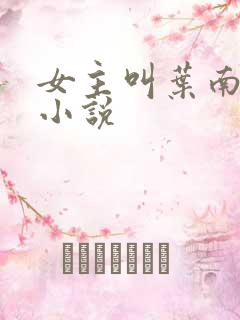 女主叫叶南初的小说