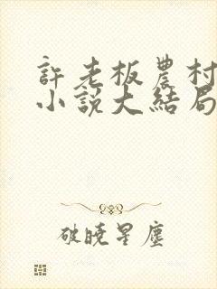 许老板农村小玫小说大结局