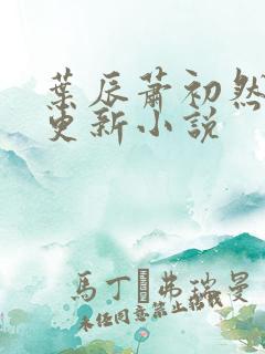 叶辰萧初然最快更新小说
