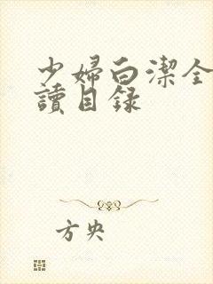 少妇白洁全文阅读目录
