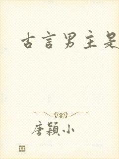 古言男主是将军