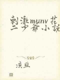 刺激munv花二少爷小说