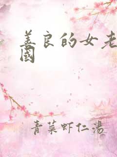 善良的女老师韩国