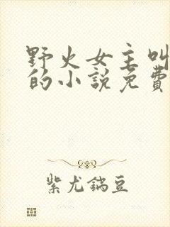野火女主叫晚晚的小说免费阅读