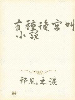 有种后宫叫德妃 小说