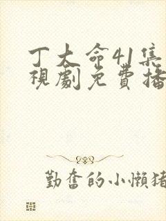 丁大命41集电视剧免费播放