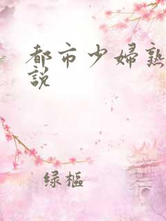 都市少妇熟妇小说