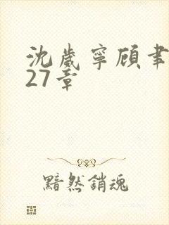 沈岁宁顾聿礼第27章