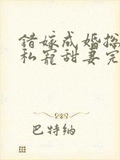 错嫁成婚总裁的私宠甜妻完整版