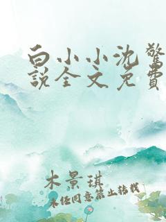 白小小沈惊觉小说全文免费阅读