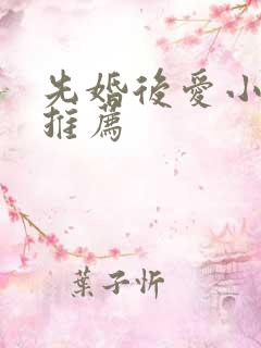 先婚后爱小甜文推荐