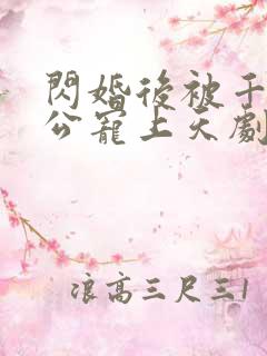 闪婚后被千亿老公宠上天剧情