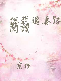 总裁追妻路漫漫阅读