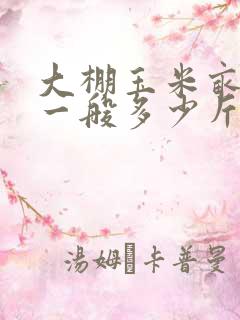 大棚玉米亩产量一般多少斤