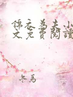 锦衣为夫小说全文免费阅读