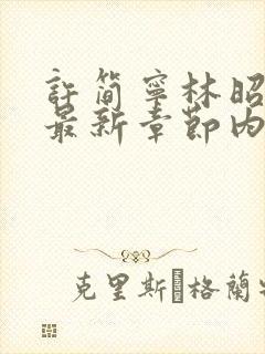许简宁林昭小说最新章节内容