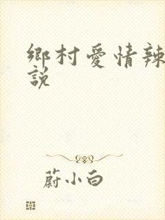 乡村爱情辣文小说